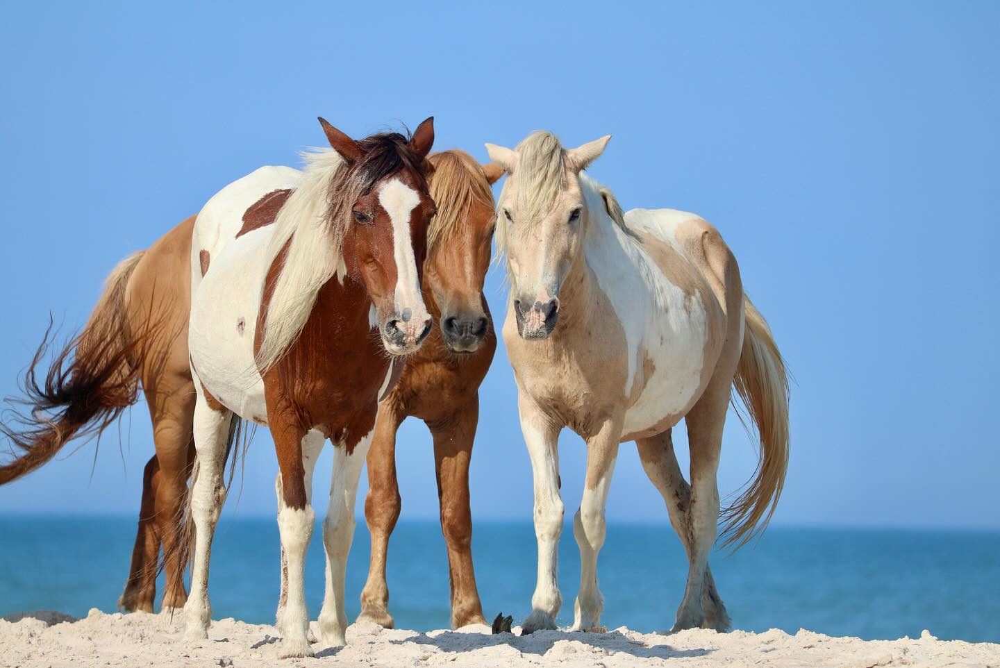 Photograph by Charlotte Gaillard