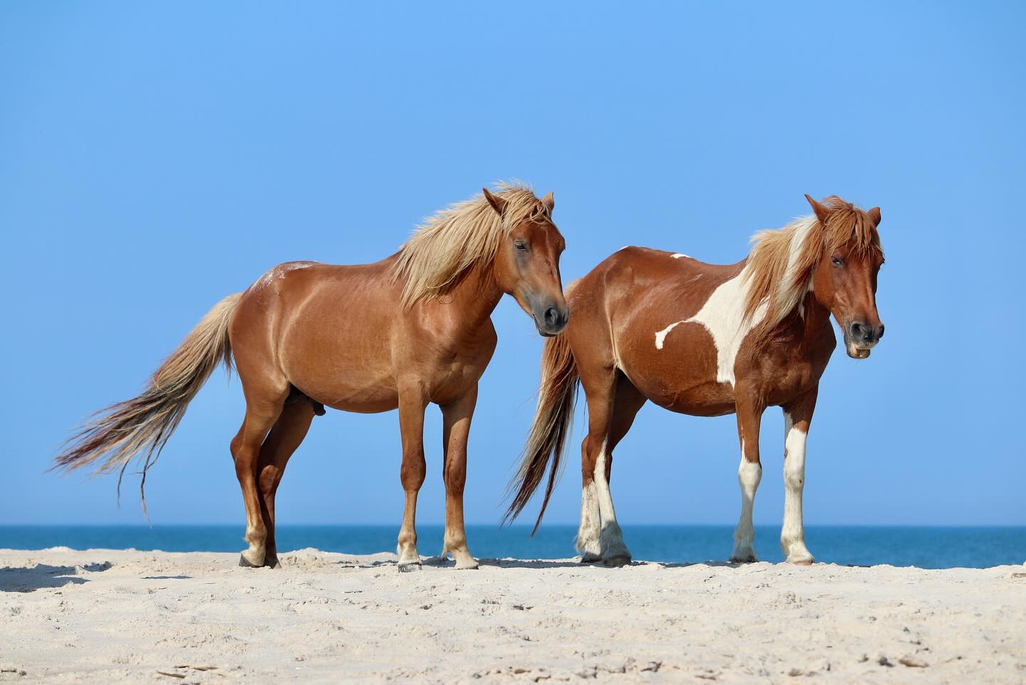 Photograph by Charlotte Gaillard