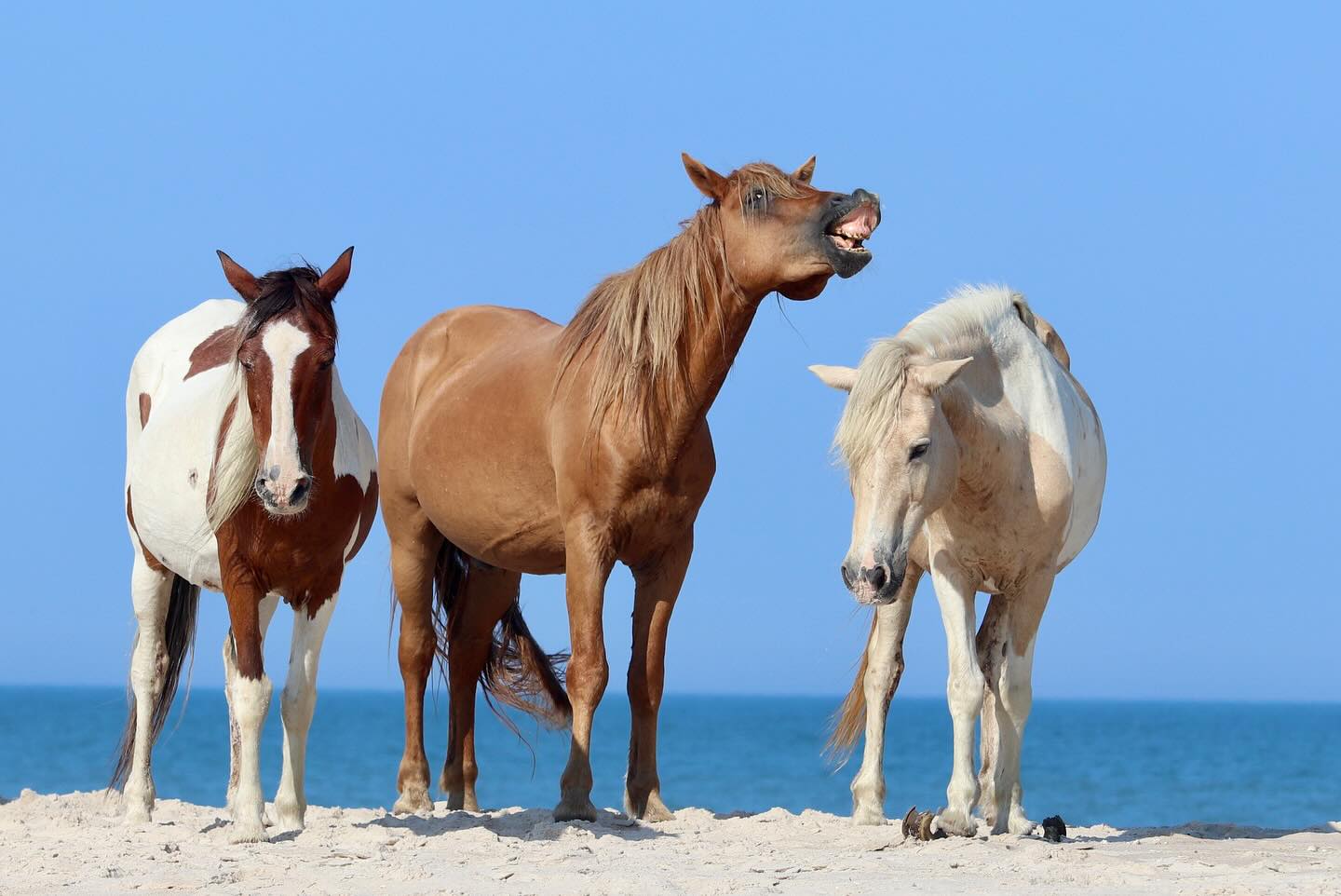 Photograph by Charlotte Gaillard