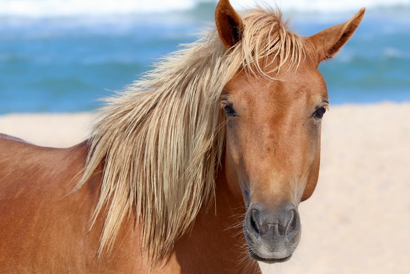 Photograph by Charlotte Gaillard