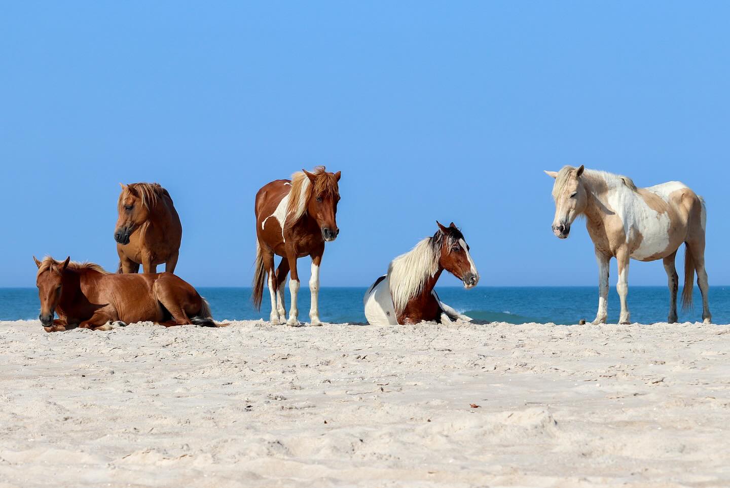 Photograph by Charlotte Gaillard