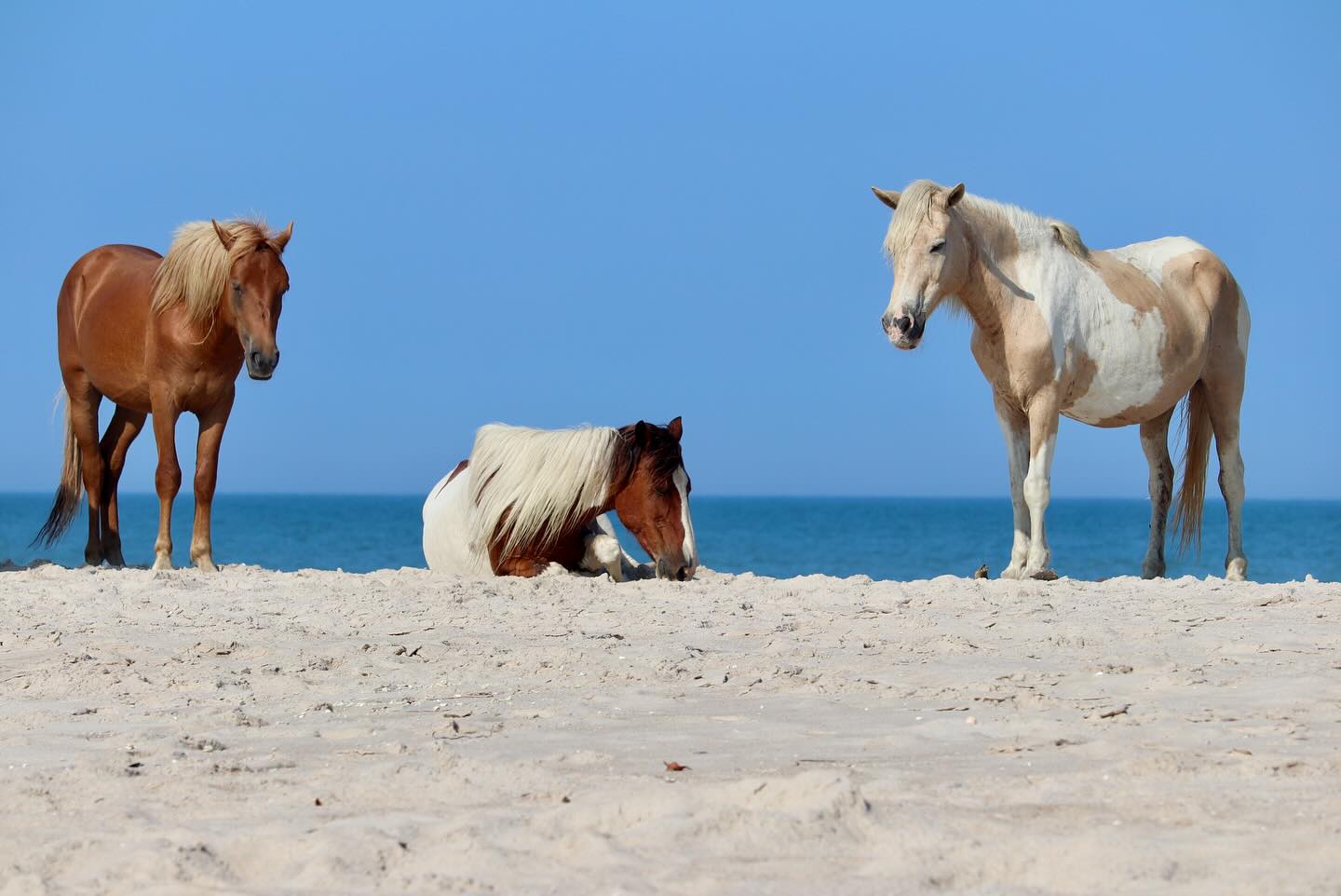 Photograph by Charlotte Gaillard