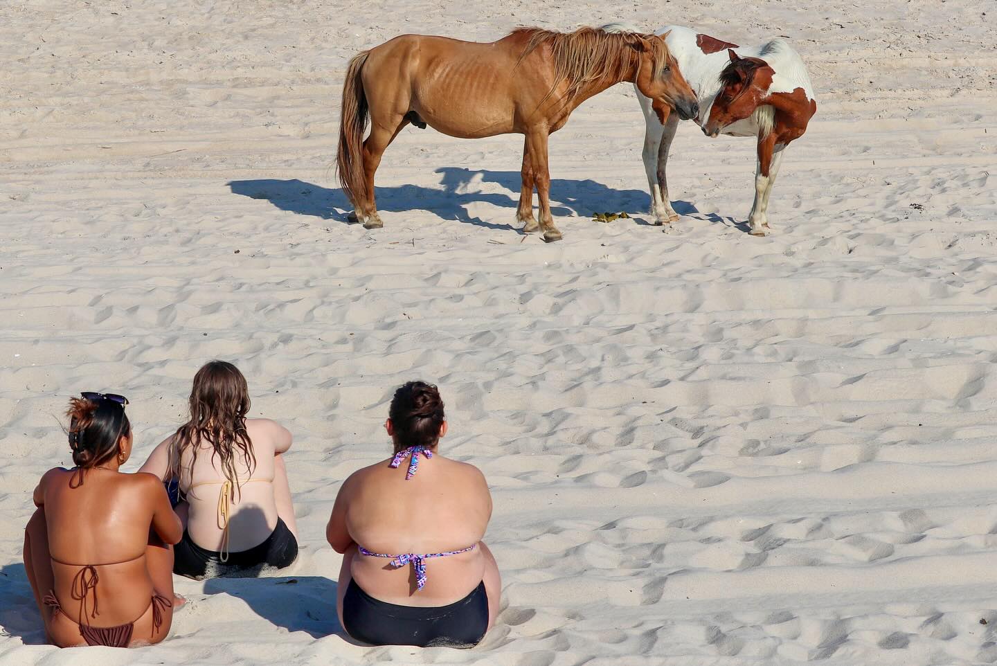 Photograph by Charlotte Gaillard