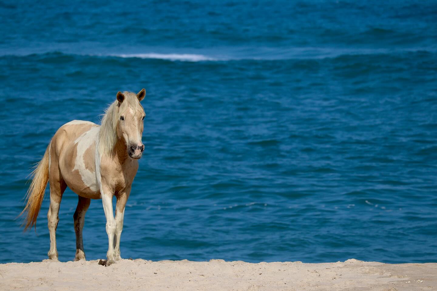 Photograph by Charlotte Gaillard