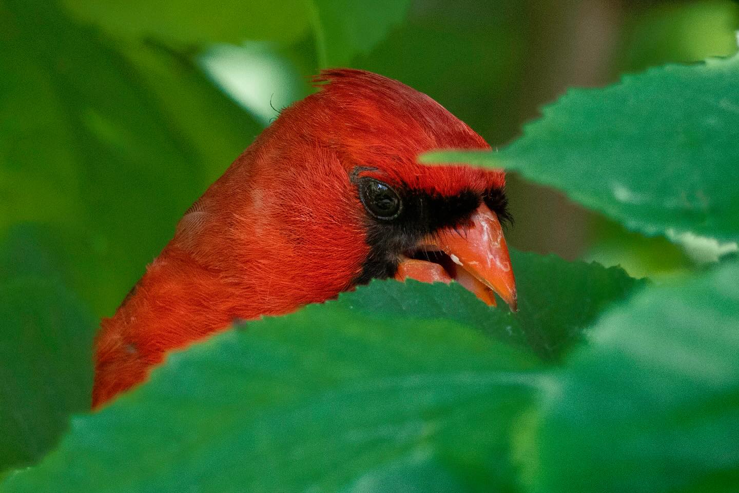 Photograph by Charlotte Gaillard