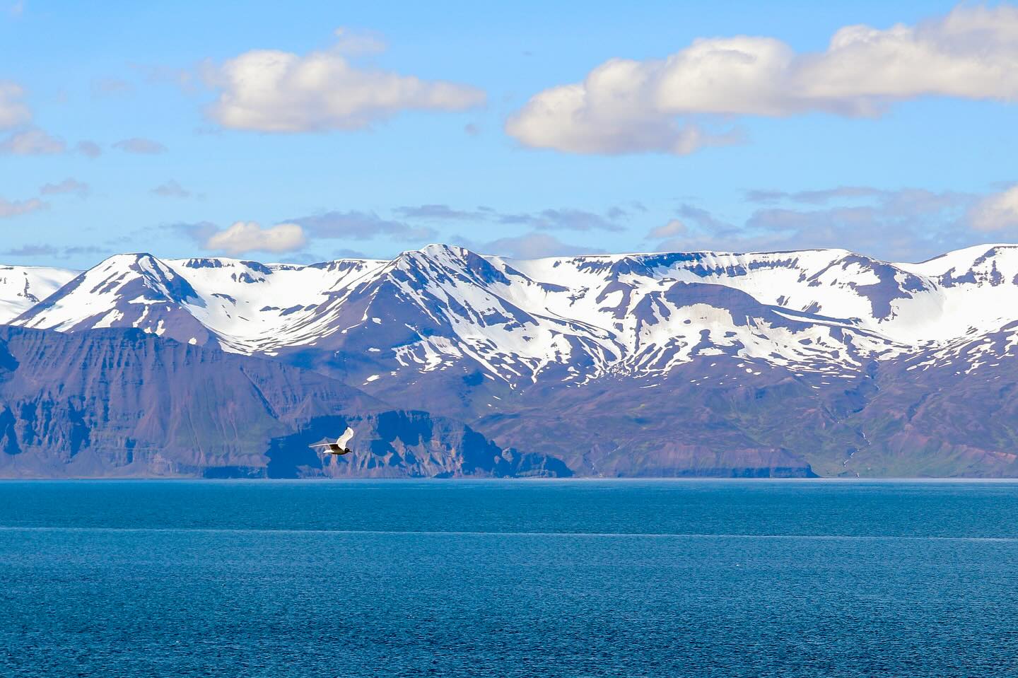 Photograph by Charlotte Gaillard