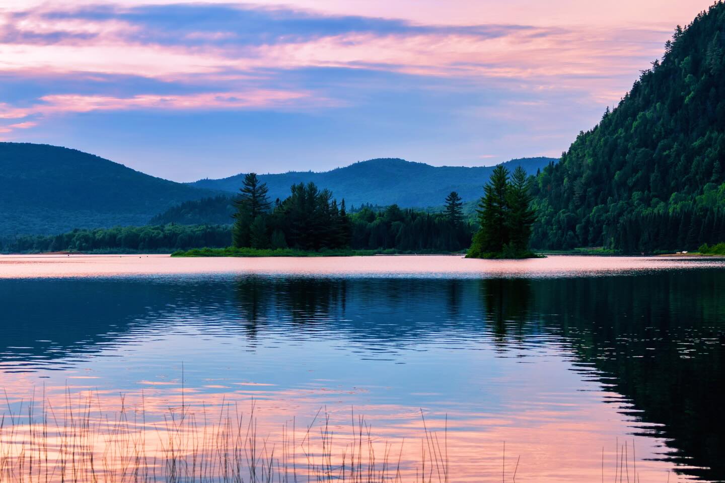 Photograph by Charlotte Gaillard