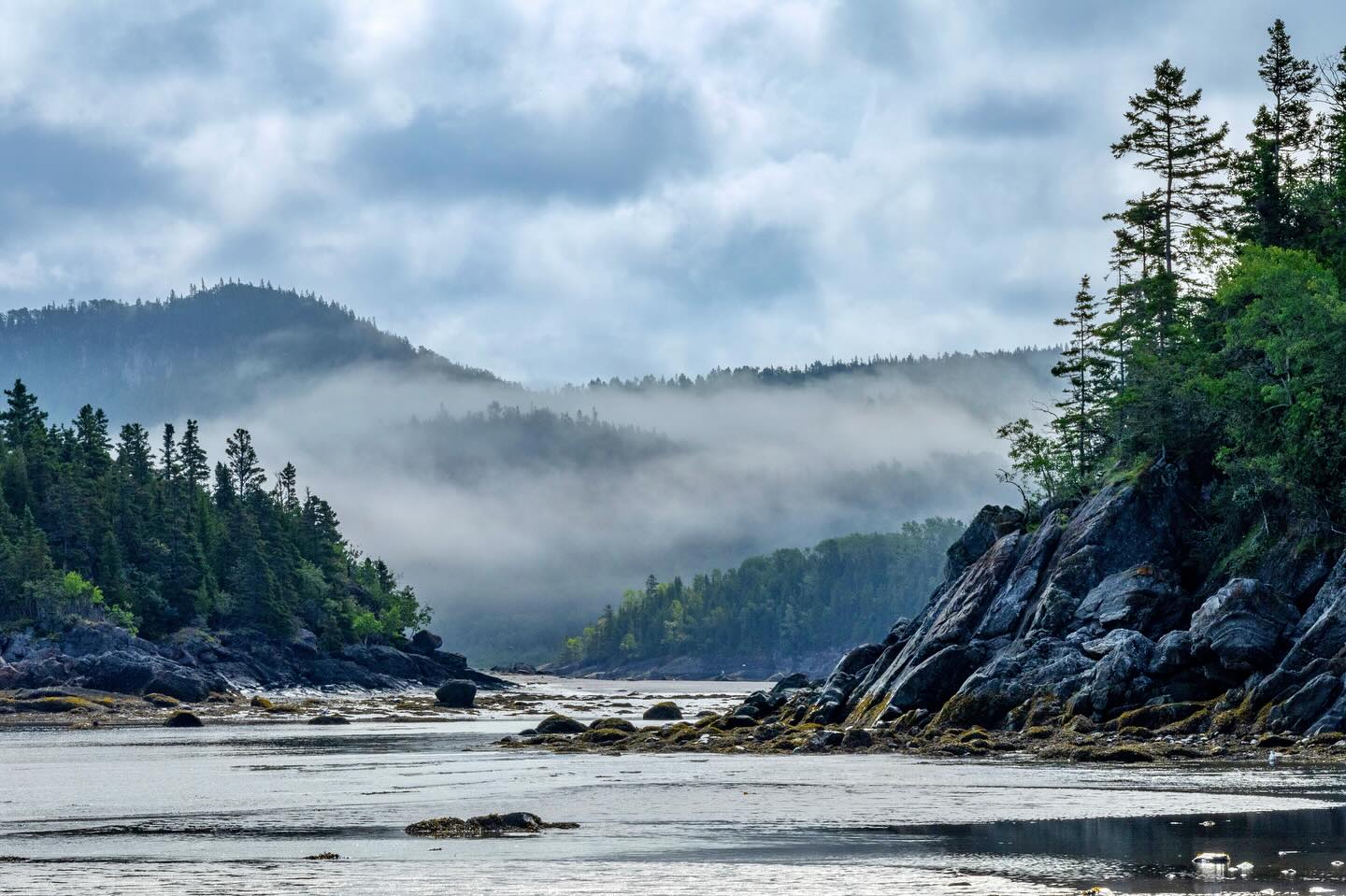 Photograph by Charlotte Gaillard