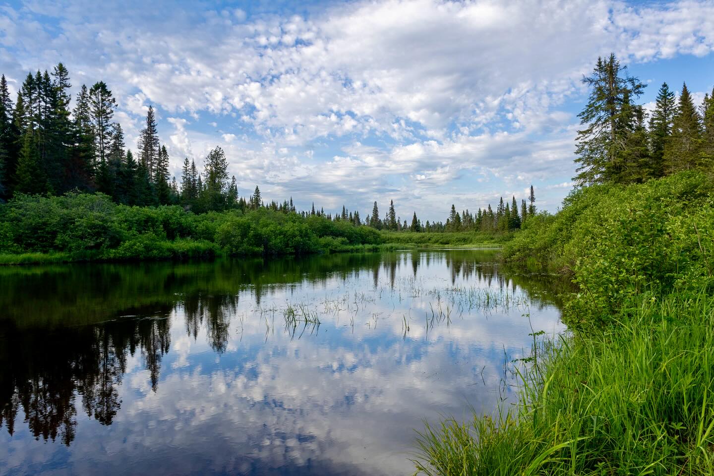 Photograph by Charlotte Gaillard