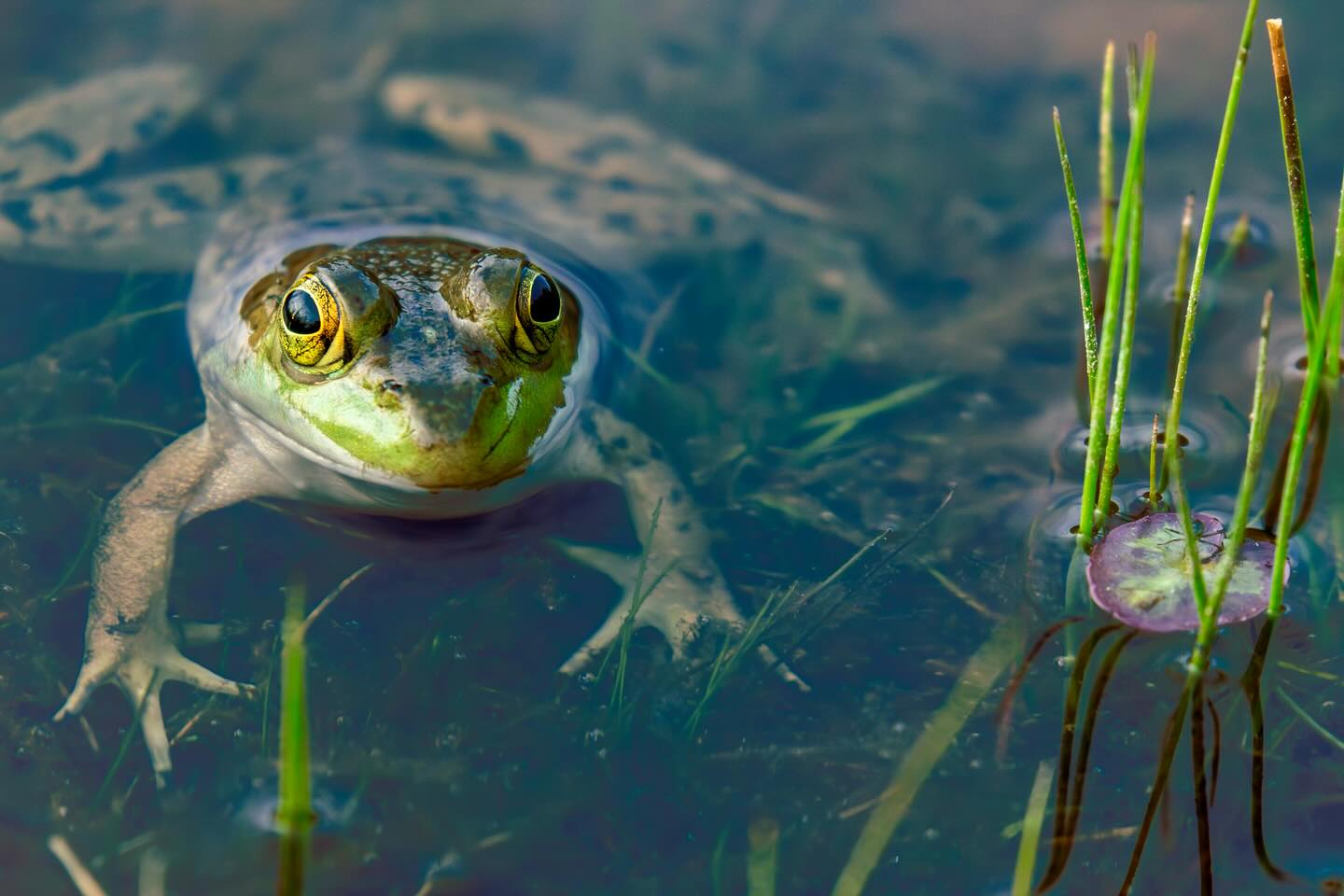 Photograph by Charlotte Gaillard