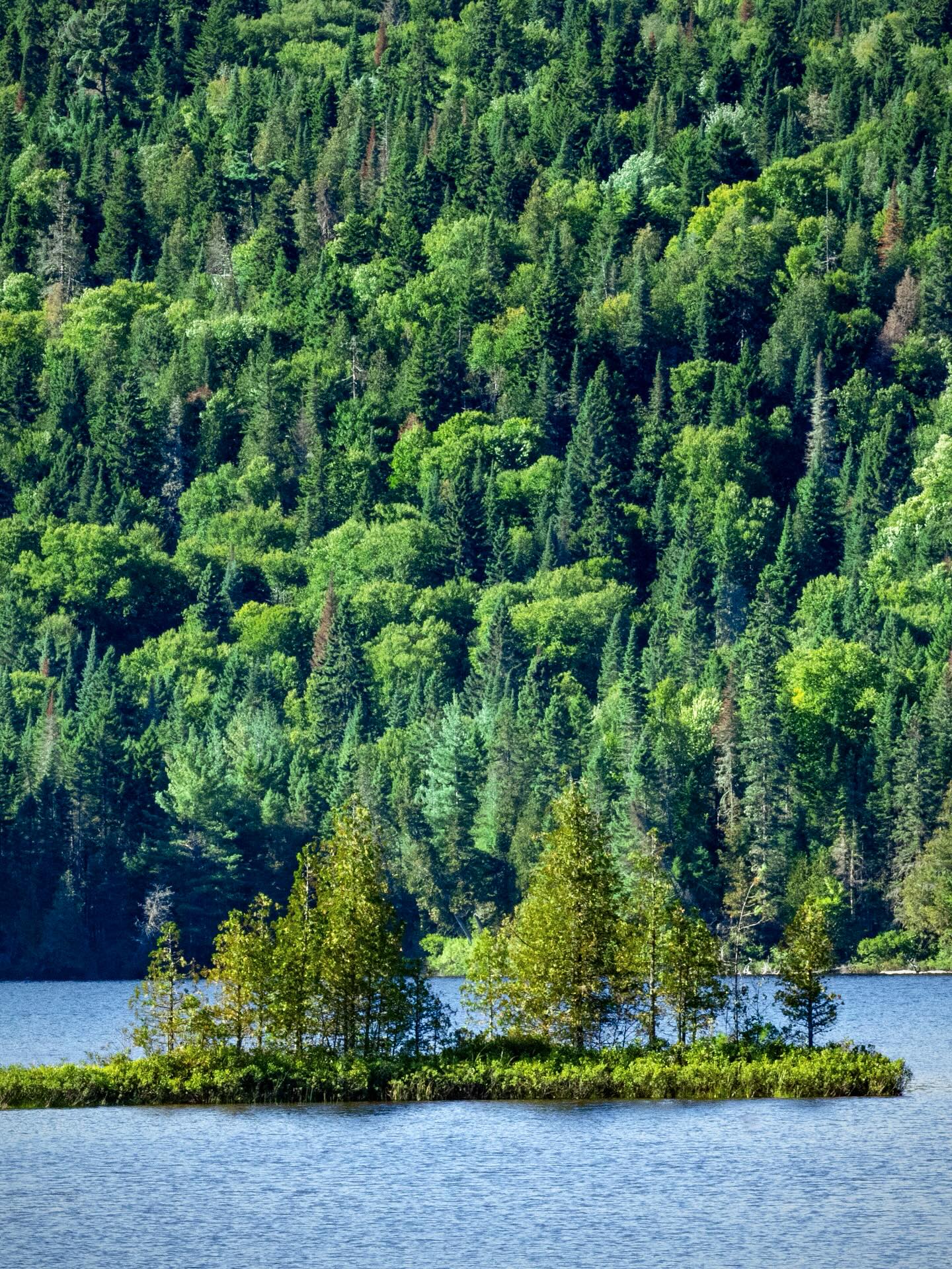 Photograph by Charlotte Gaillard