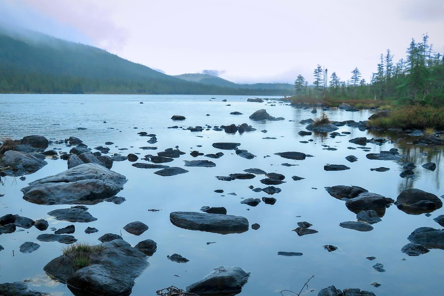 Photograph by Charlotte Gaillard