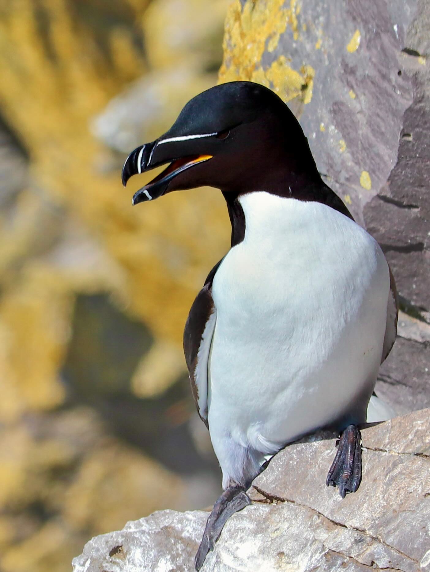 Photograph by Charlotte Gaillard