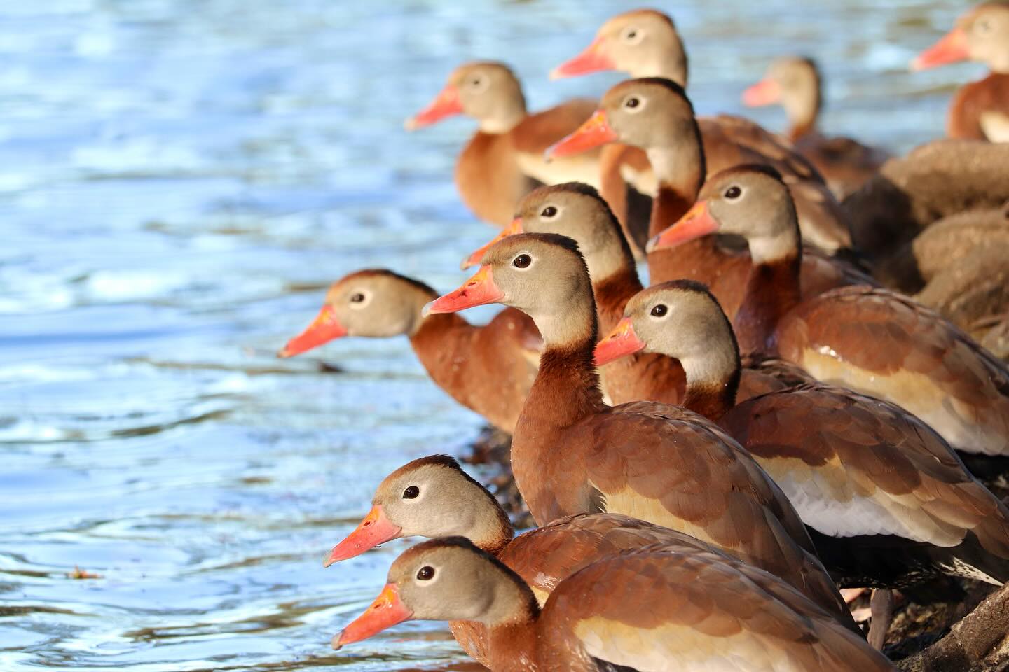 Photograph by Charlotte Gaillard