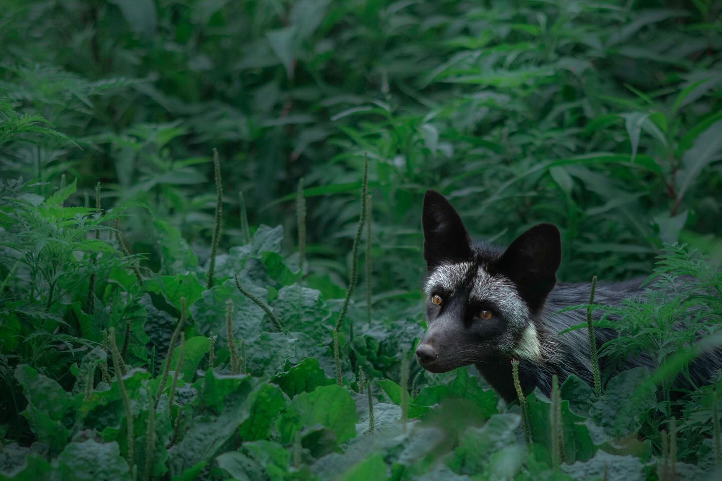 Photograph by Charlotte Gaillard