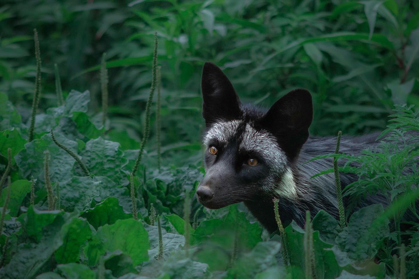 Photograph by Charlotte Gaillard