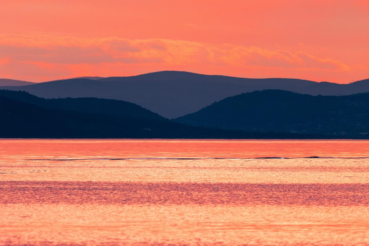 Photograph by Charlotte Gaillard