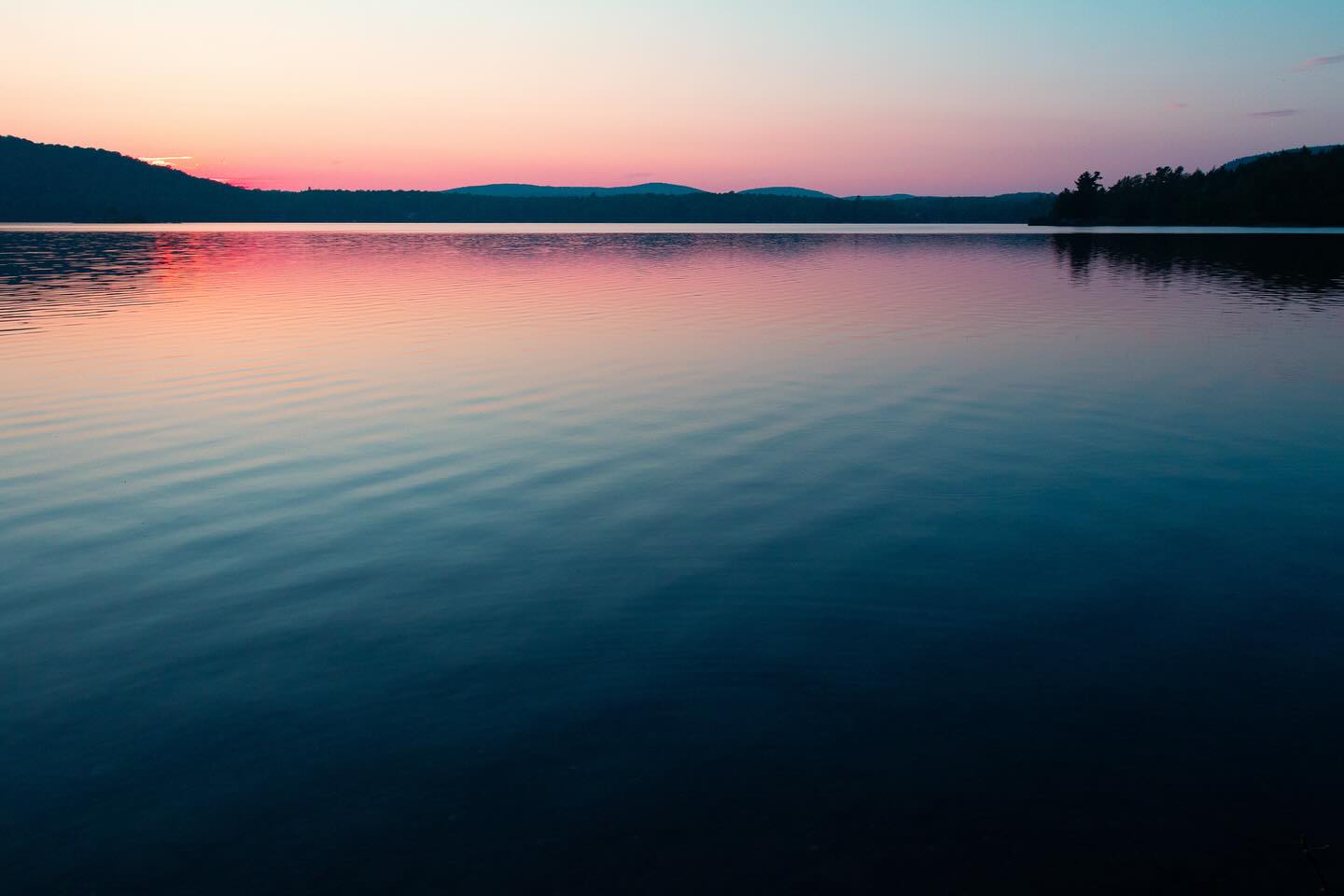 Photograph by Charlotte Gaillard