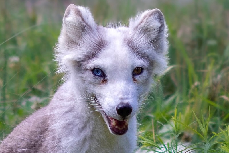 Photograph by Charlotte Gaillard