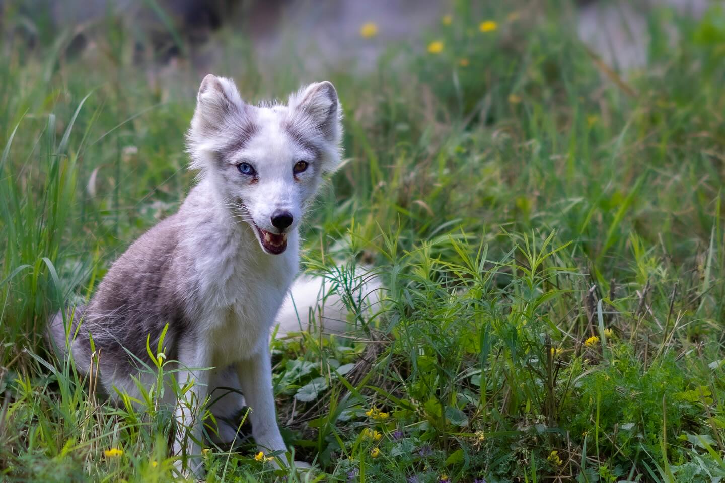 Photograph by Charlotte Gaillard