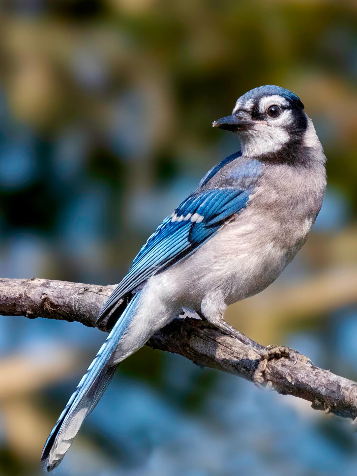 Photograph by Charlotte Gaillard