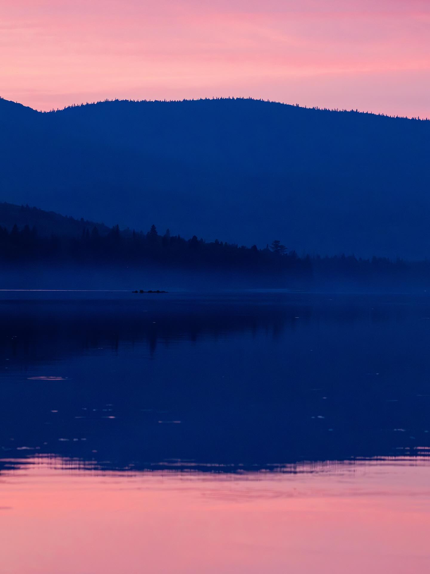 Photograph by Charlotte Gaillard