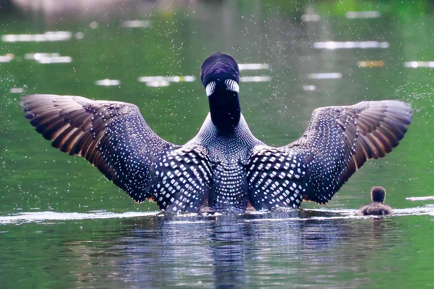 Photograph by Charlotte Gaillard