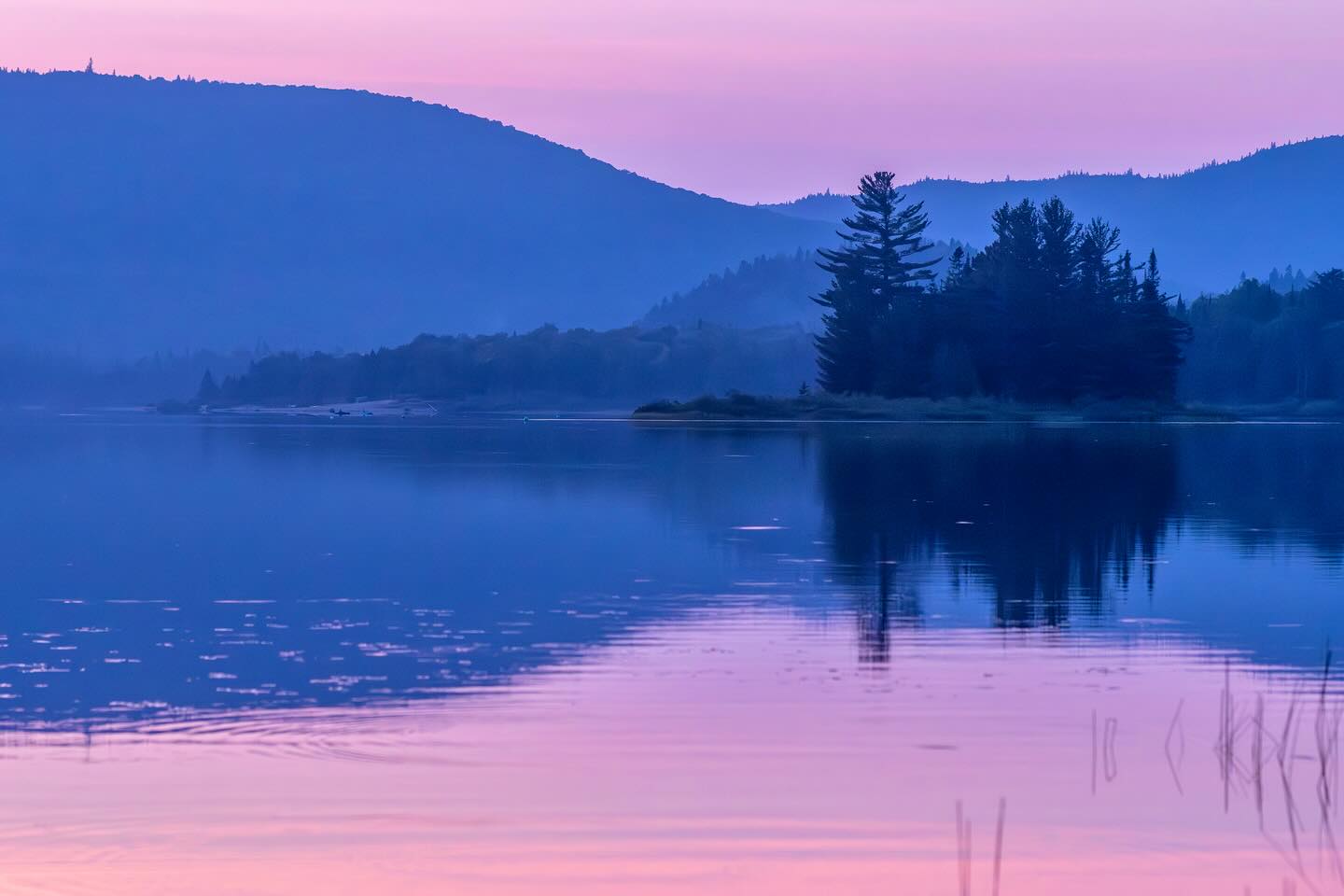 Photograph by Charlotte Gaillard