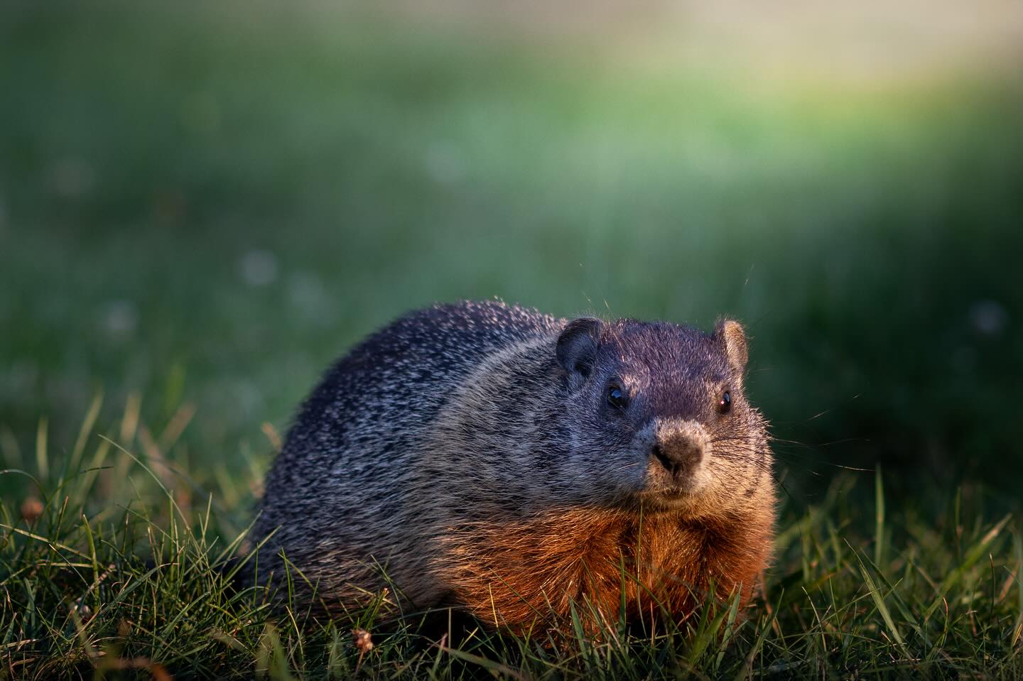 Photograph by Charlotte Gaillard