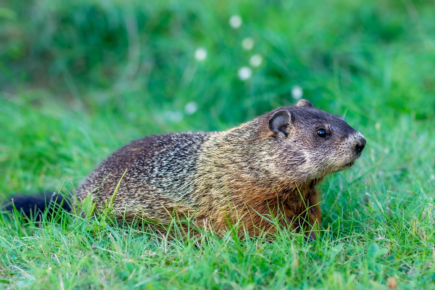 Photograph by Charlotte Gaillard