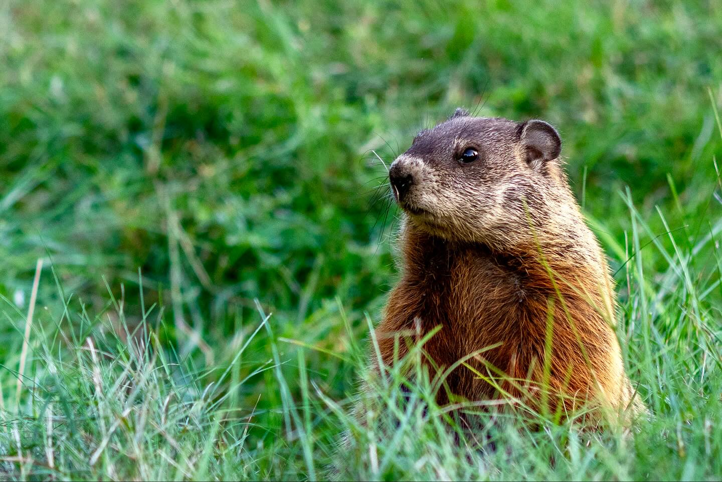 Photograph by Charlotte Gaillard