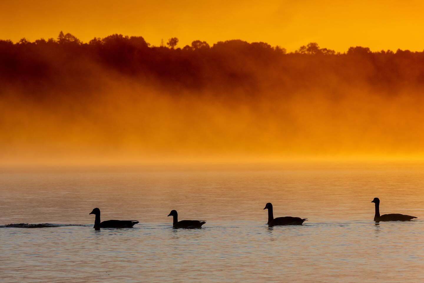 Photograph by Charlotte Gaillard