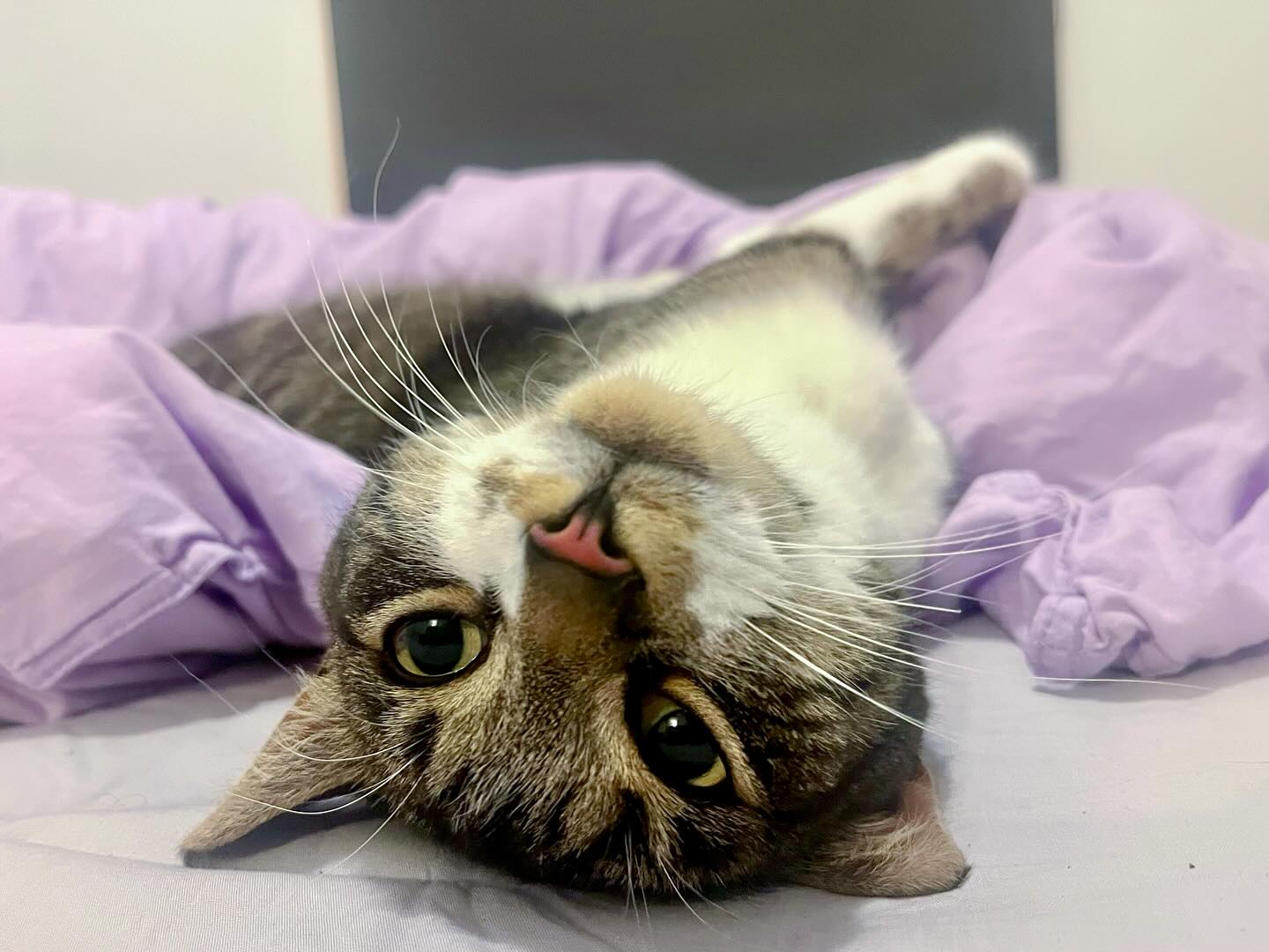 Photograph by Charlotte Gaillard