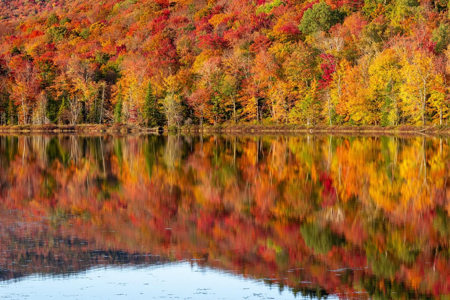 Photograph by Charlotte Gaillard