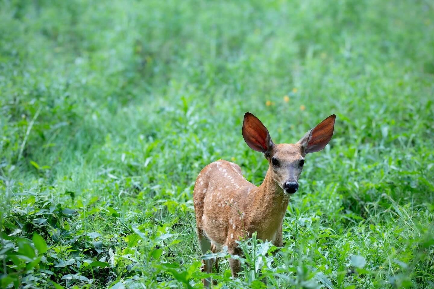 Photograph by Charlotte Gaillard