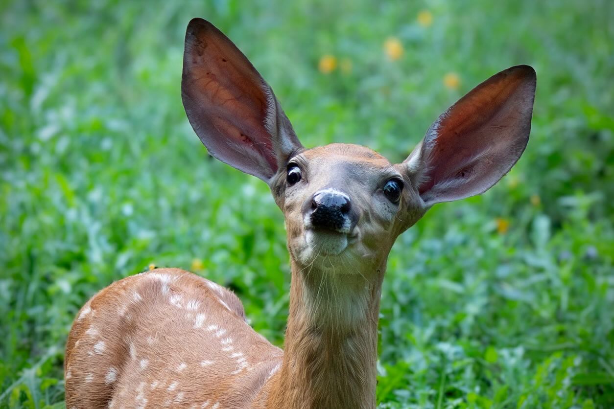 Photograph by Charlotte Gaillard