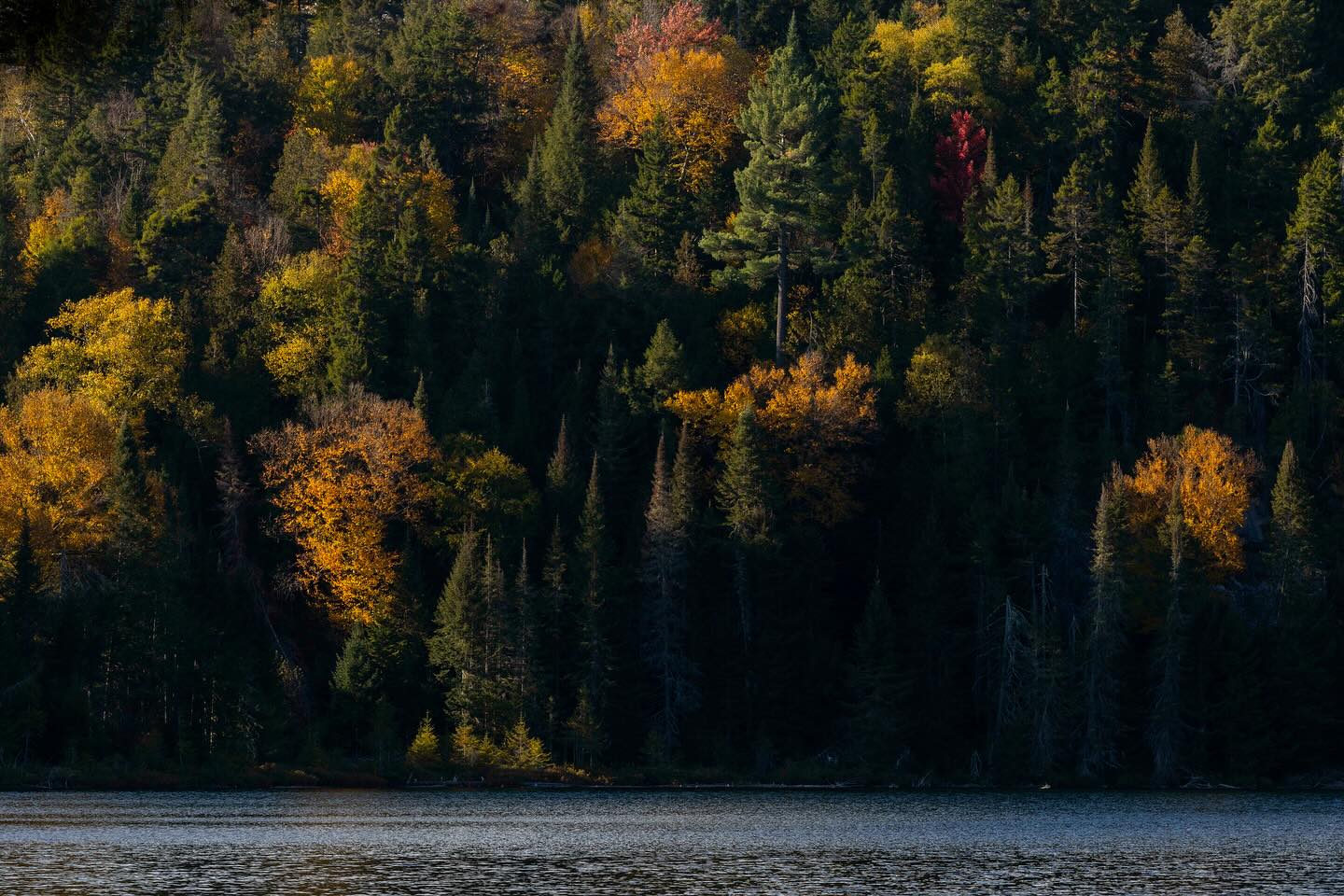 Photograph by Charlotte Gaillard