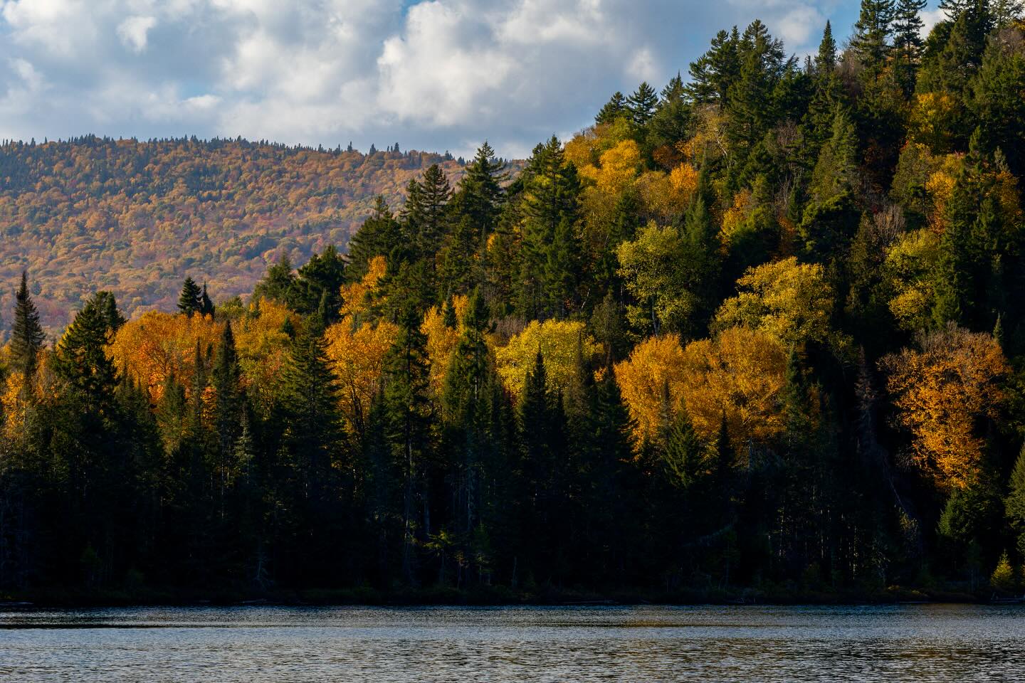 Photograph by Charlotte Gaillard