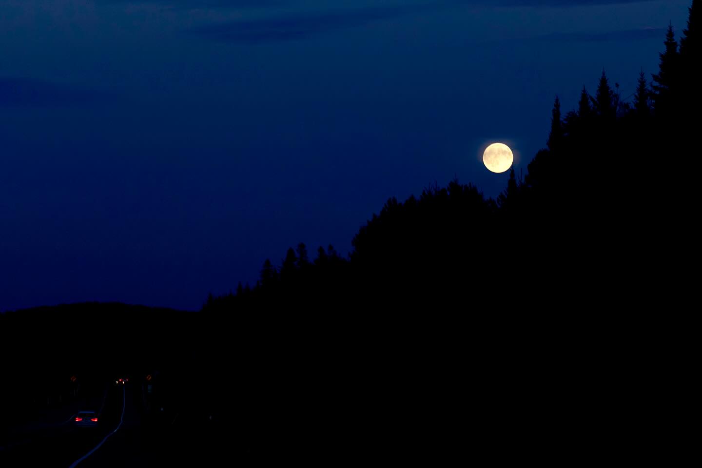 Photograph by Charlotte Gaillard