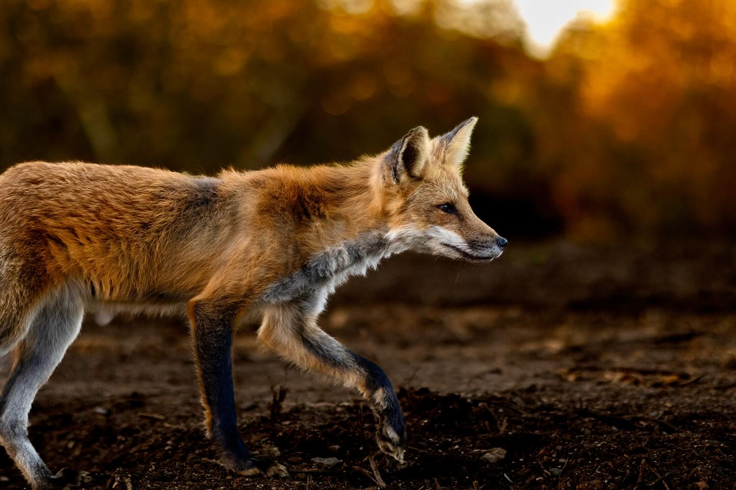 Photograph by Charlotte Gaillard