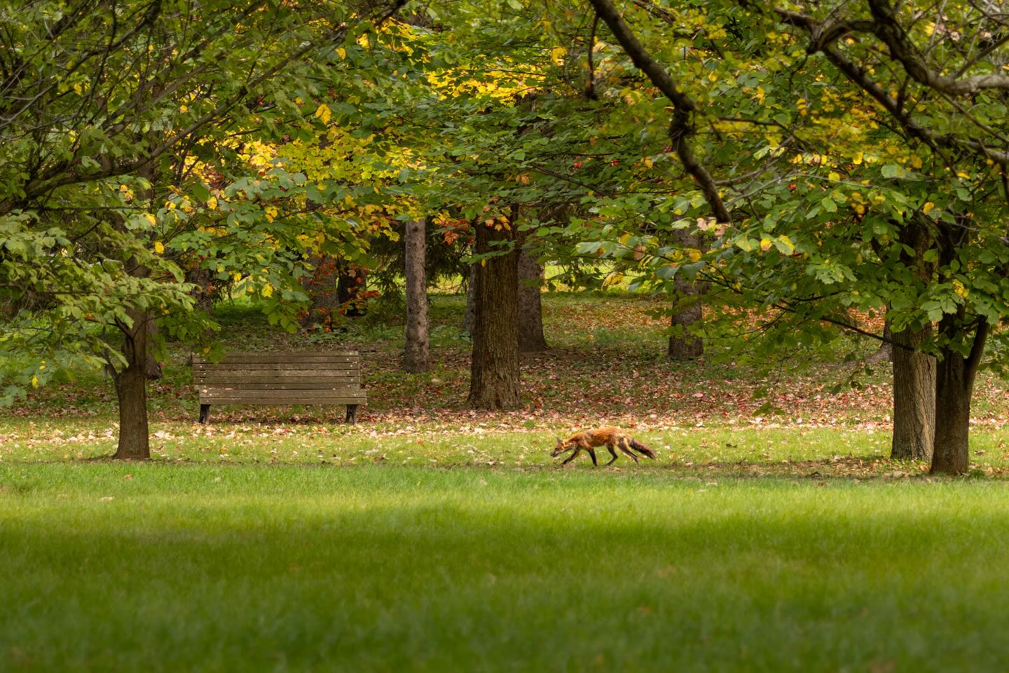 Photograph by Charlotte Gaillard