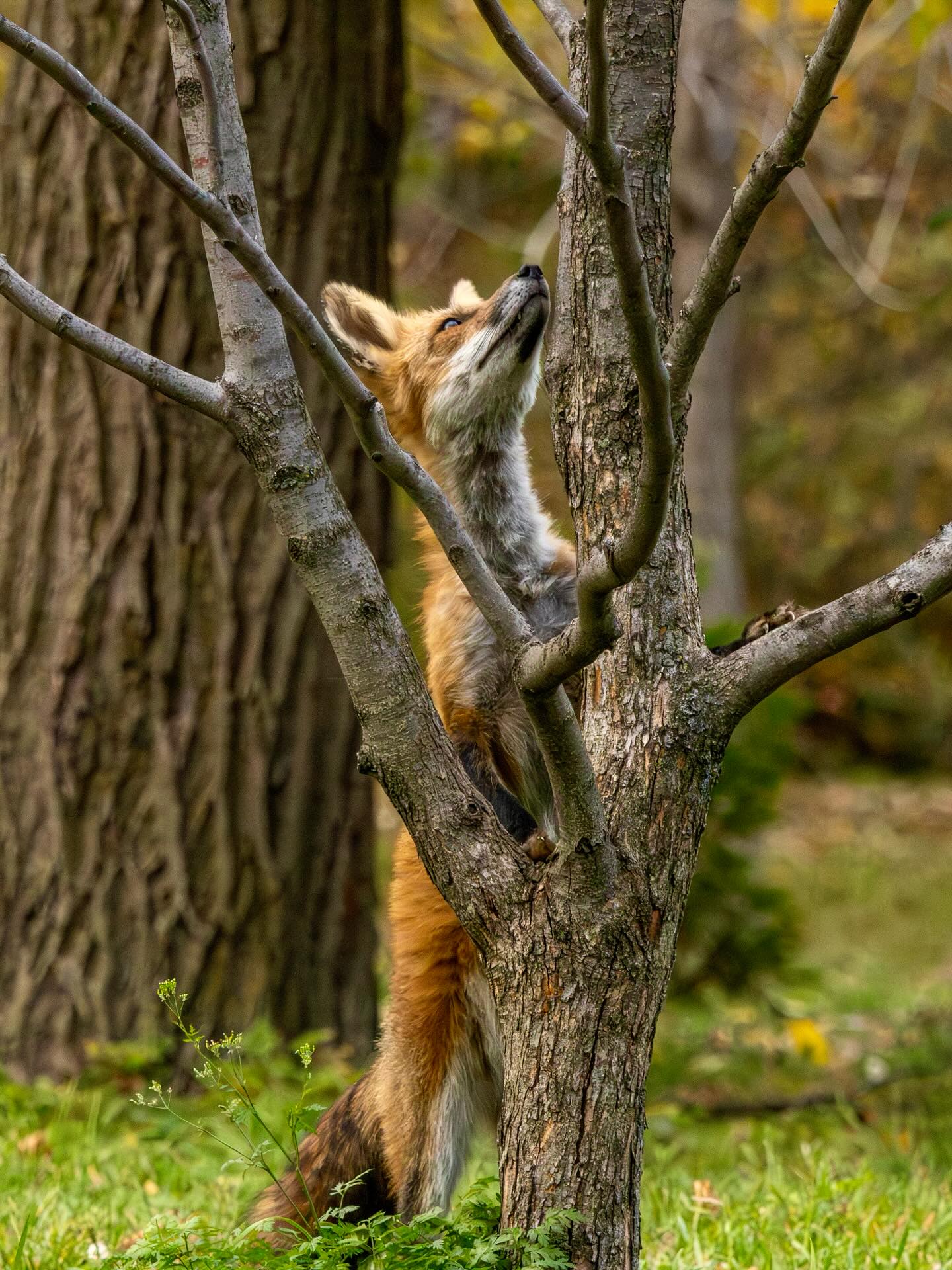 Photograph by Charlotte Gaillard