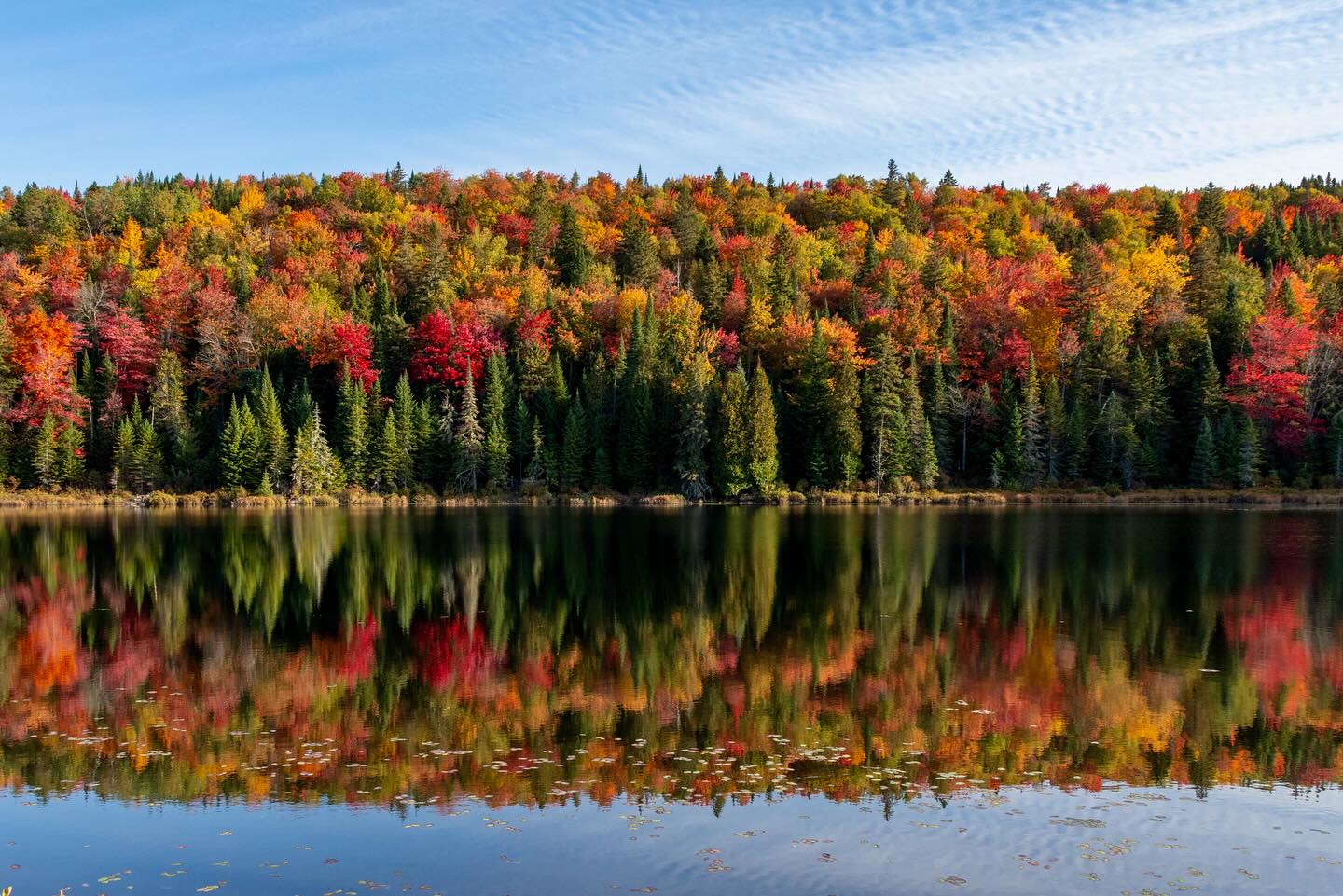 Photograph by Charlotte Gaillard