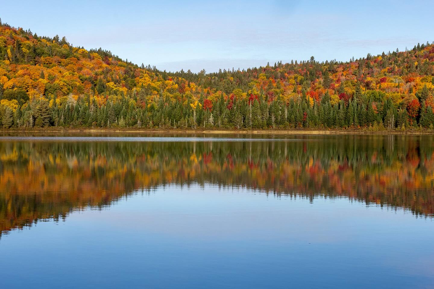 Photograph by Charlotte Gaillard