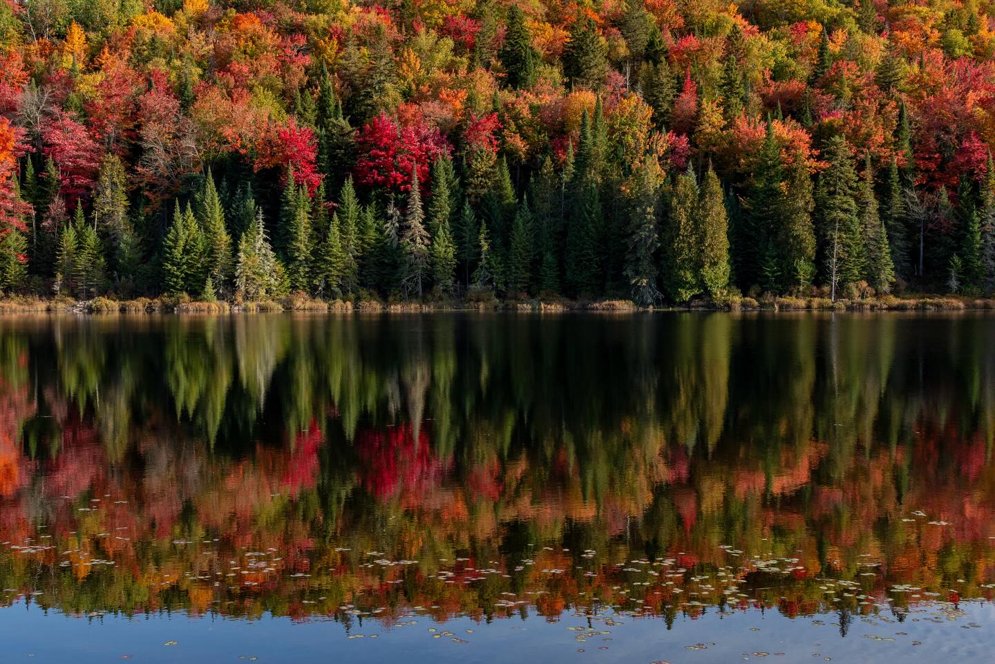 Photograph by Charlotte Gaillard