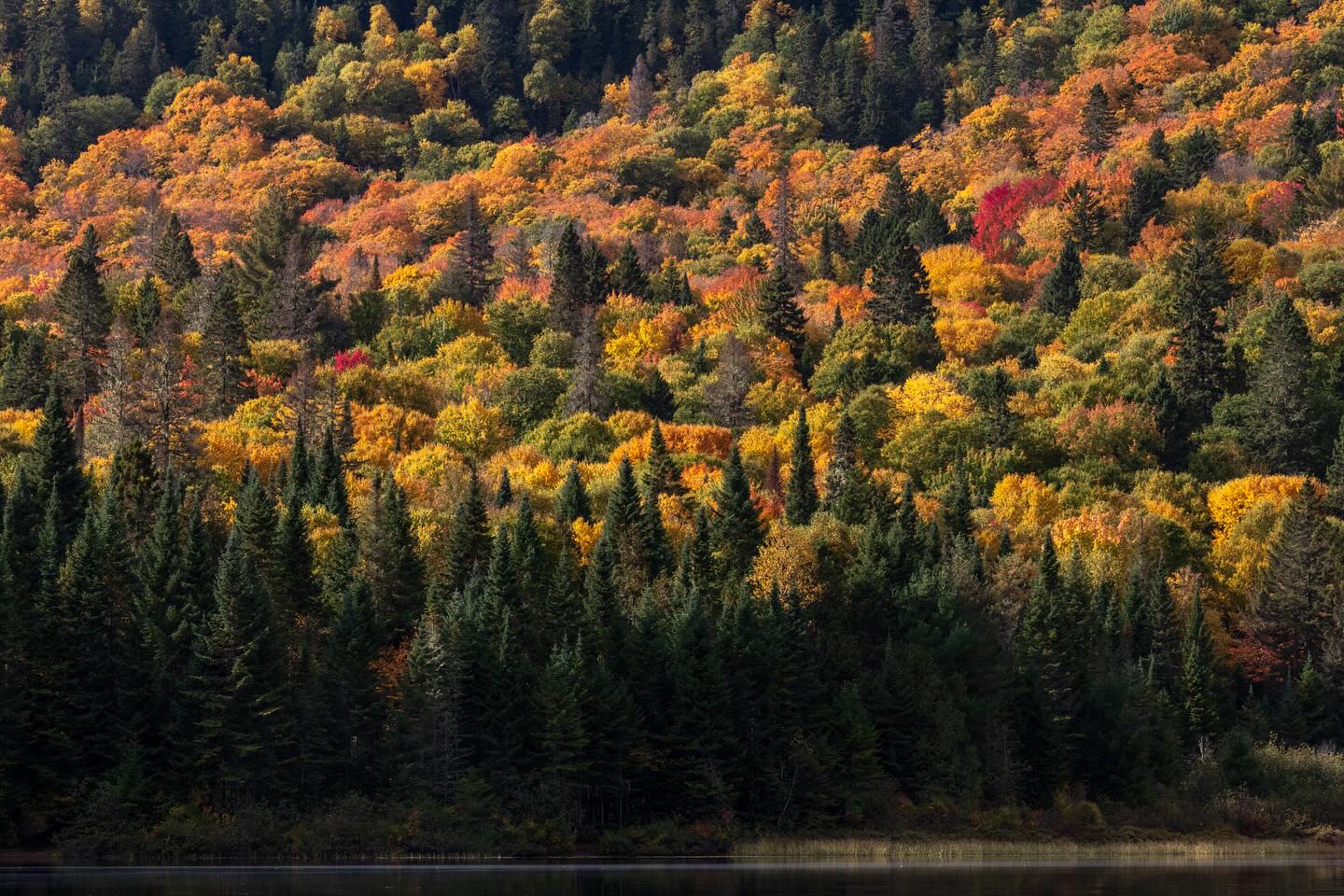 Photograph by Charlotte Gaillard