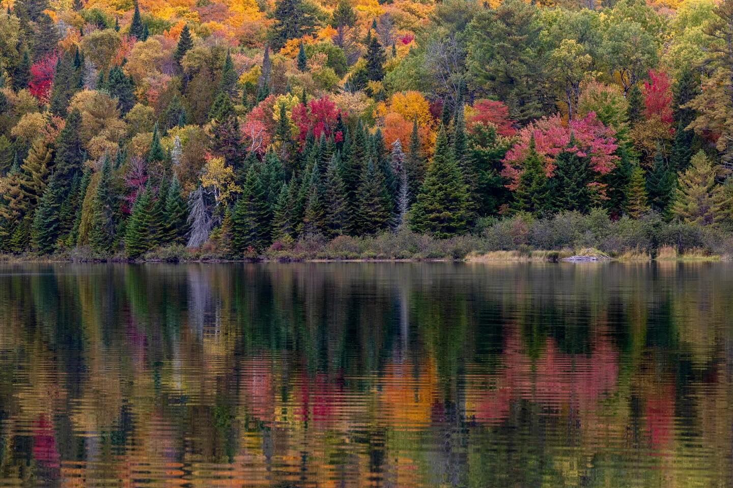 Photograph by Charlotte Gaillard