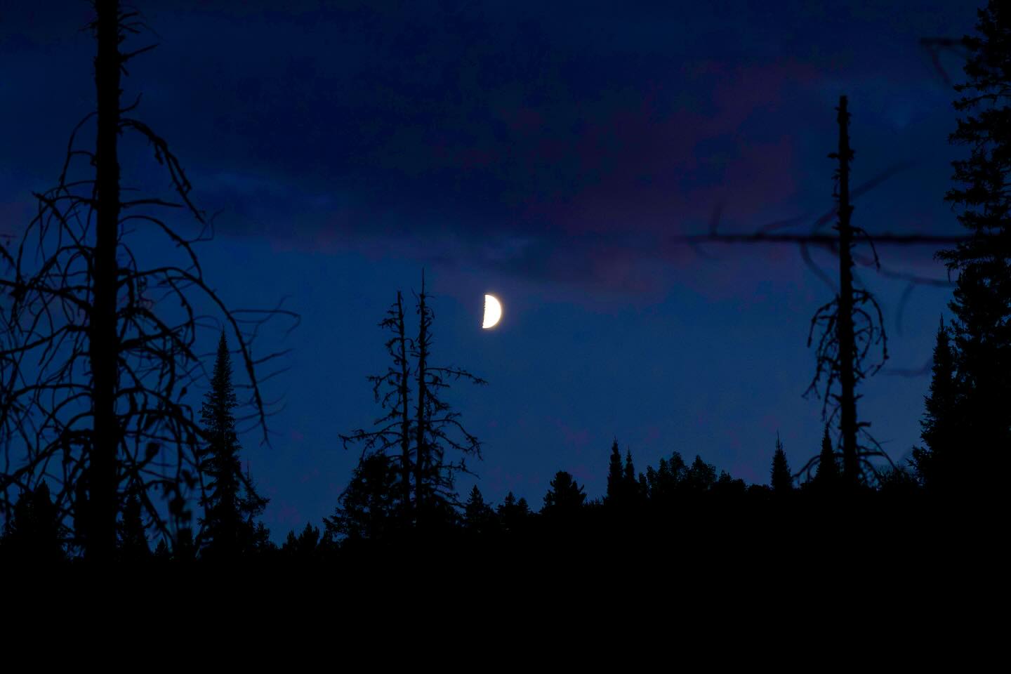 Photograph by Charlotte Gaillard