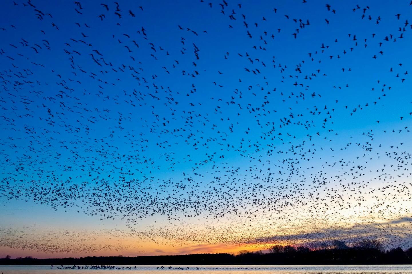 Photograph by Charlotte Gaillard