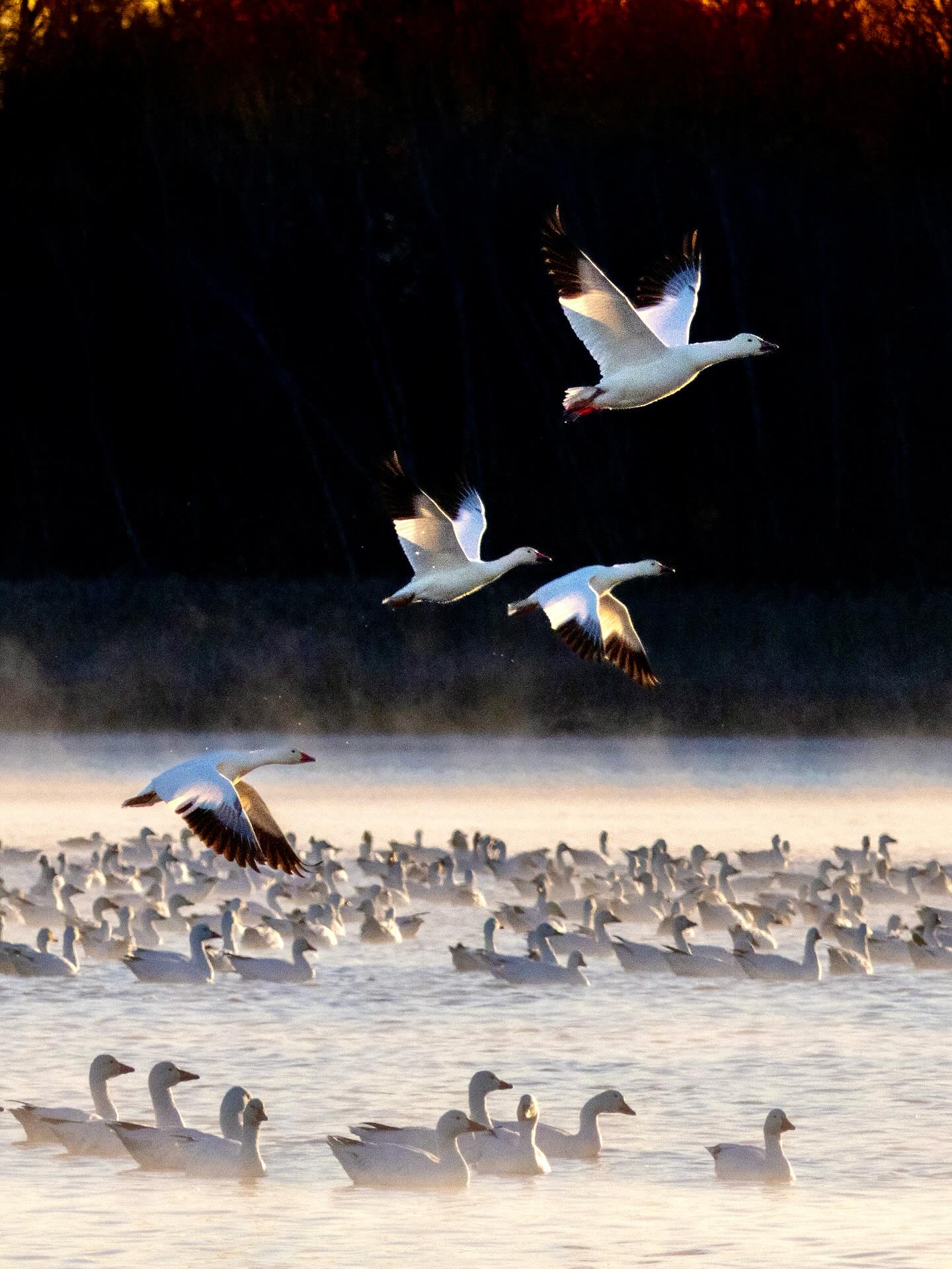 Photograph by Charlotte Gaillard